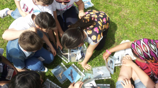 LE PROPOSTE DIDATTICHE DELLE COOP PANTACON PER L'ANNO 2016/2017