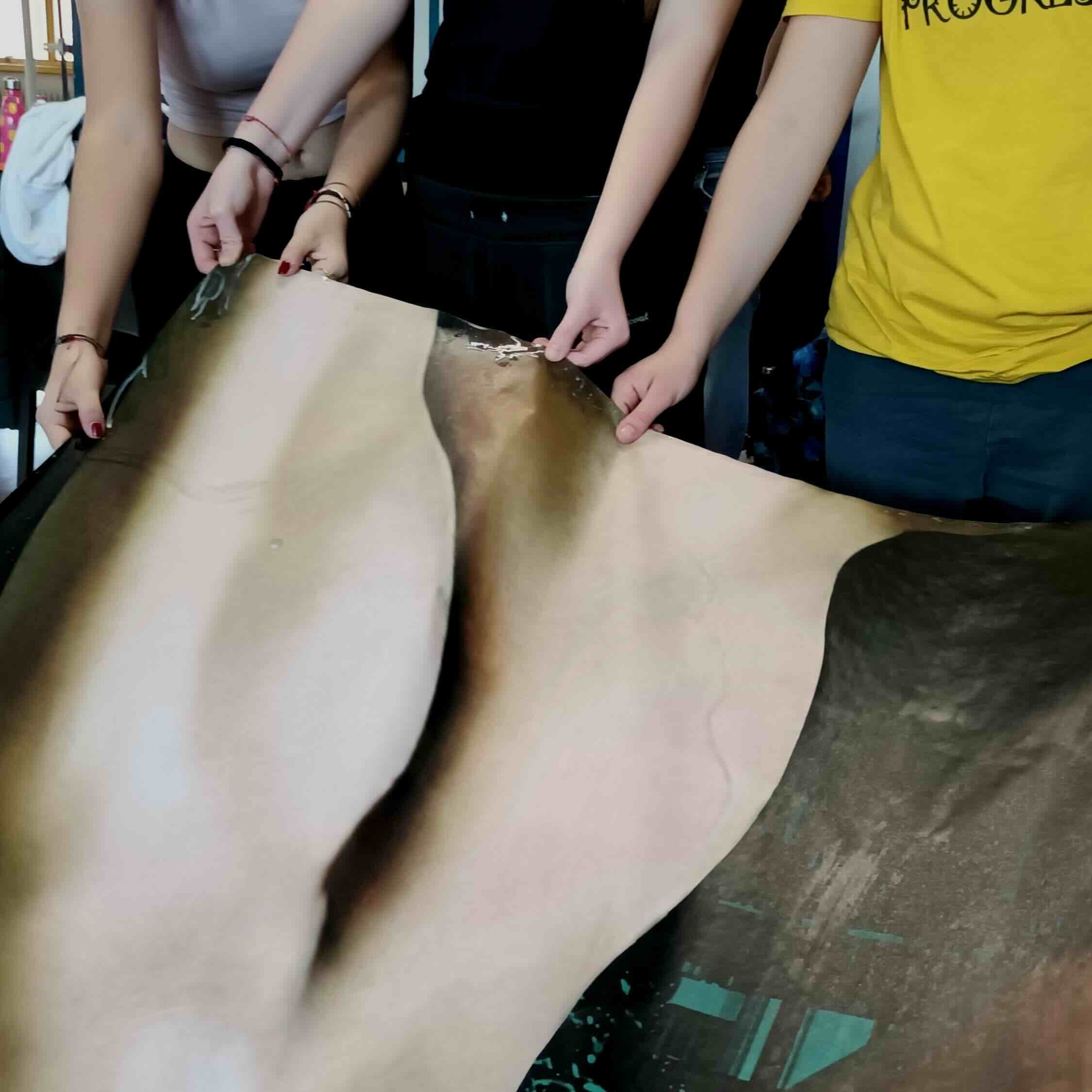 signofthetimesmaggio253